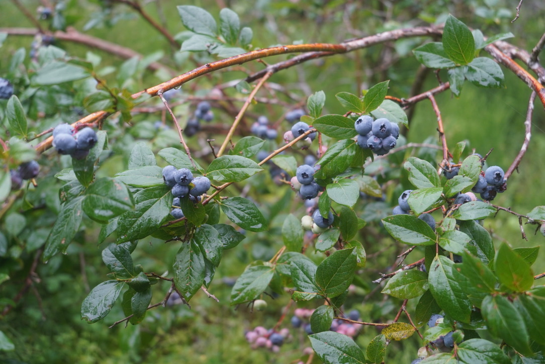 Featured blog image